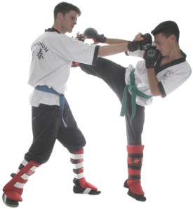 Wing Chun Breda